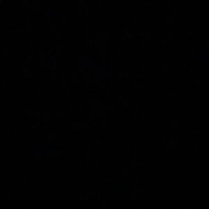 Meet your Posher, Cameron